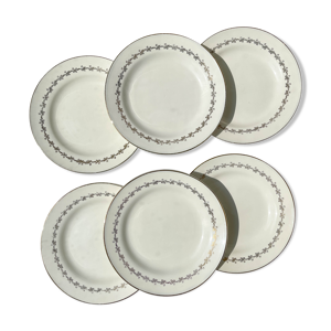 6 assiettes plates porcelaine opaque