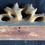 Frames (x2) XIX° - 35 / 51 cm / frame of 29.2 / 39.7 cm foliage 1 cm
