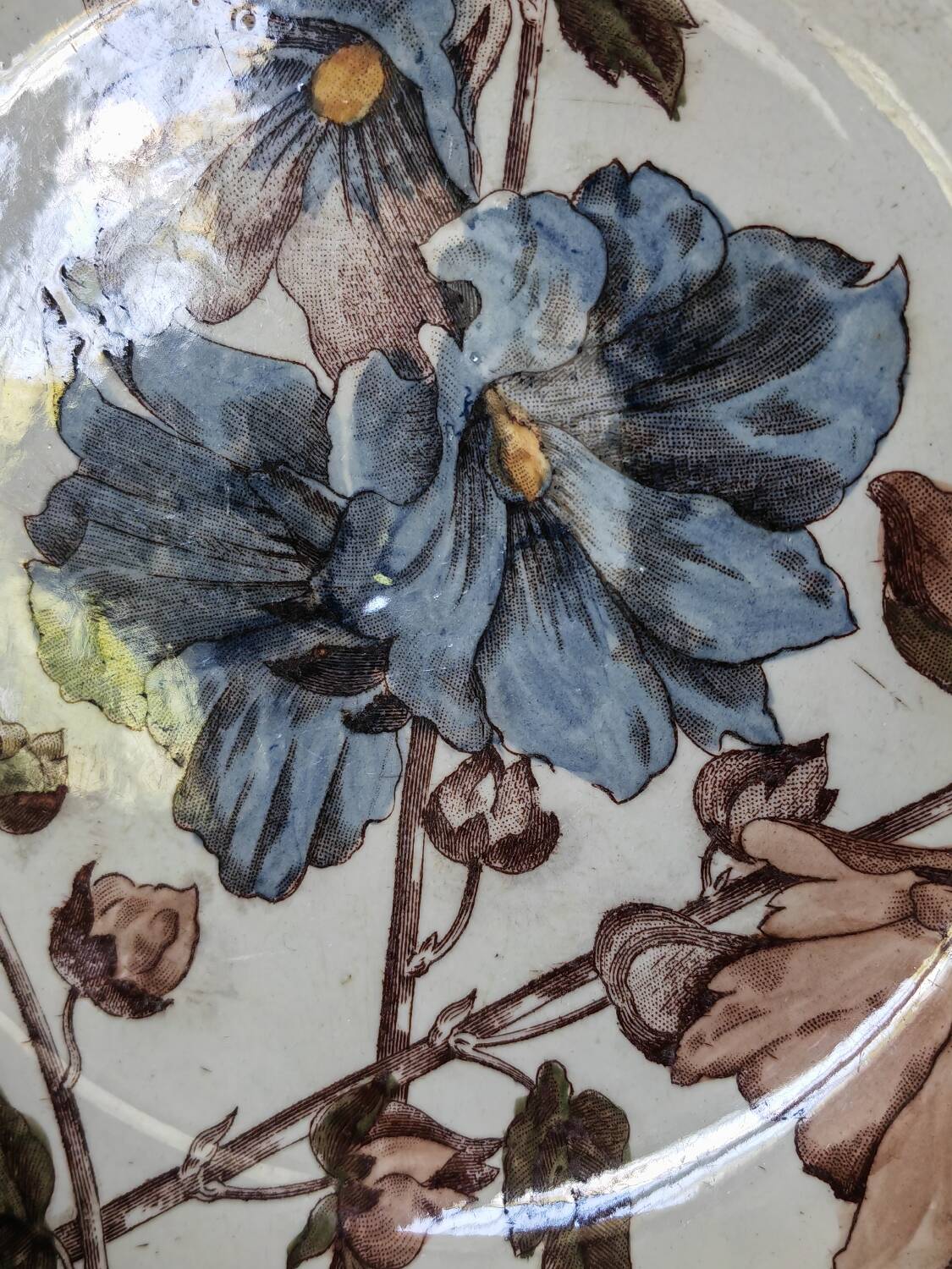 Old polychrome plate Trémières