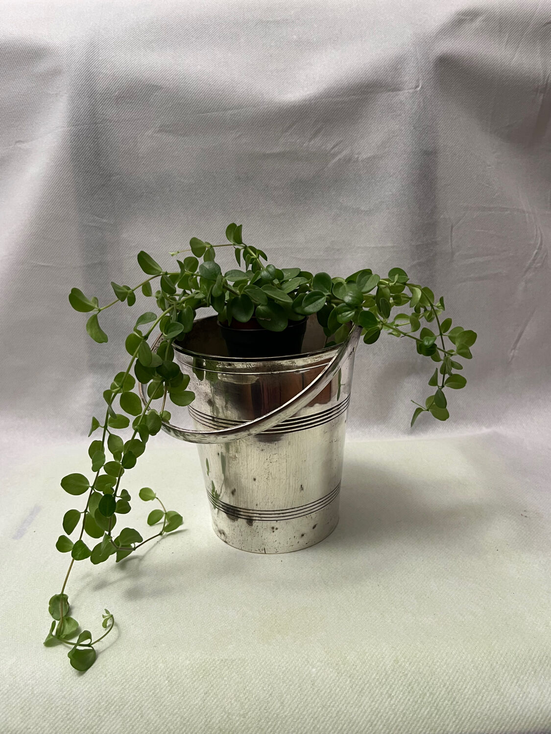 Silver-plated metal ice bucket