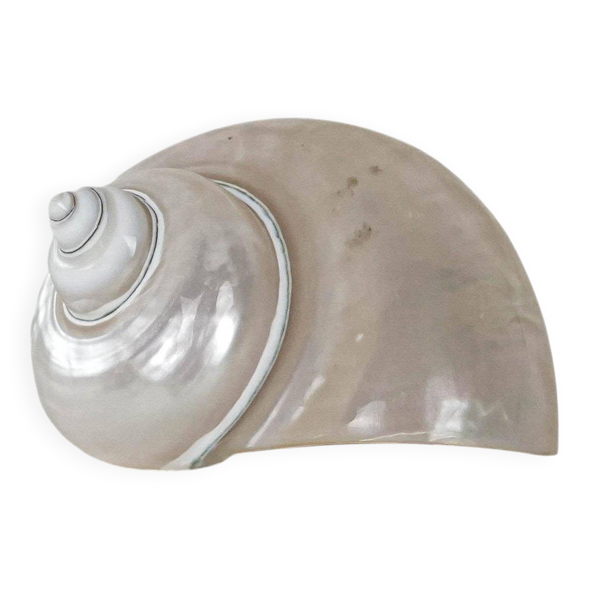 Mother-of-pearl seashell, Italian design, 1970s, made in Italy