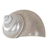 Mother-of-pearl seashell, Italian design, 1970s, made in Italy
