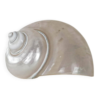 Mother-of-pearl seashell, Italian design, 1970s, made in Italy