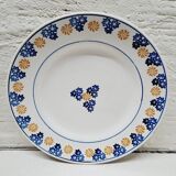 Pair of indigo and saffron flat plates