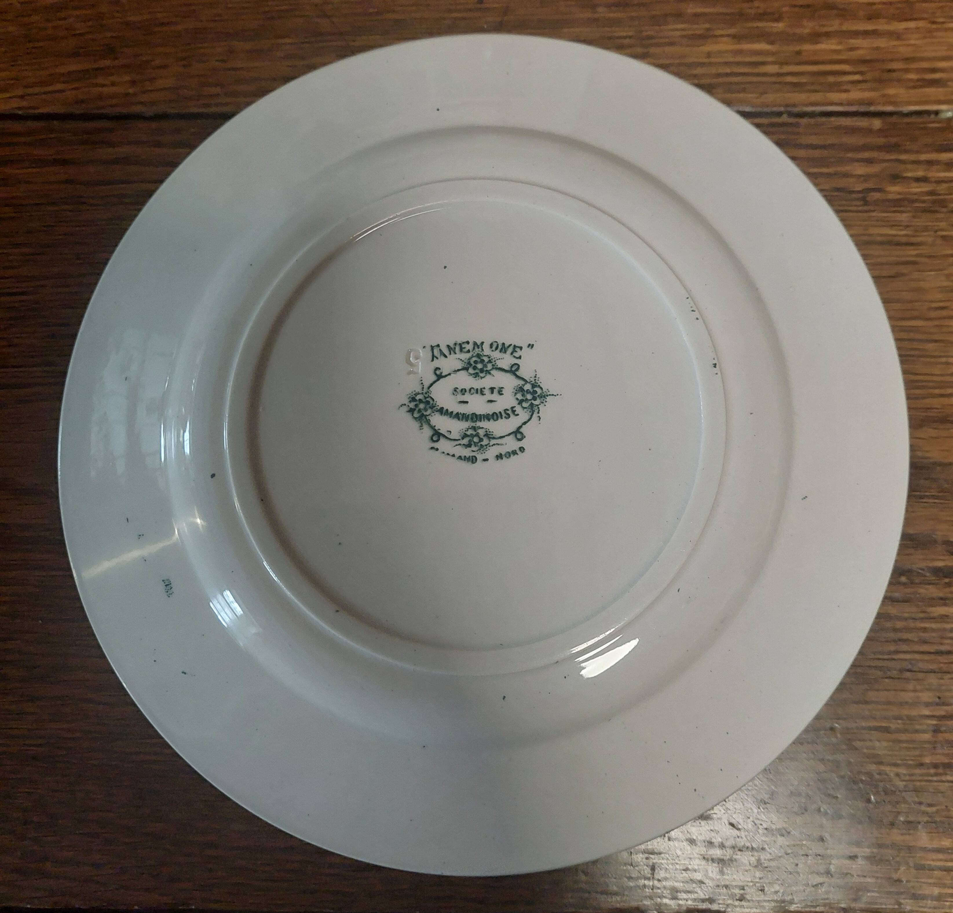 Ironstone plate from Saint Amand with anemone decoration.