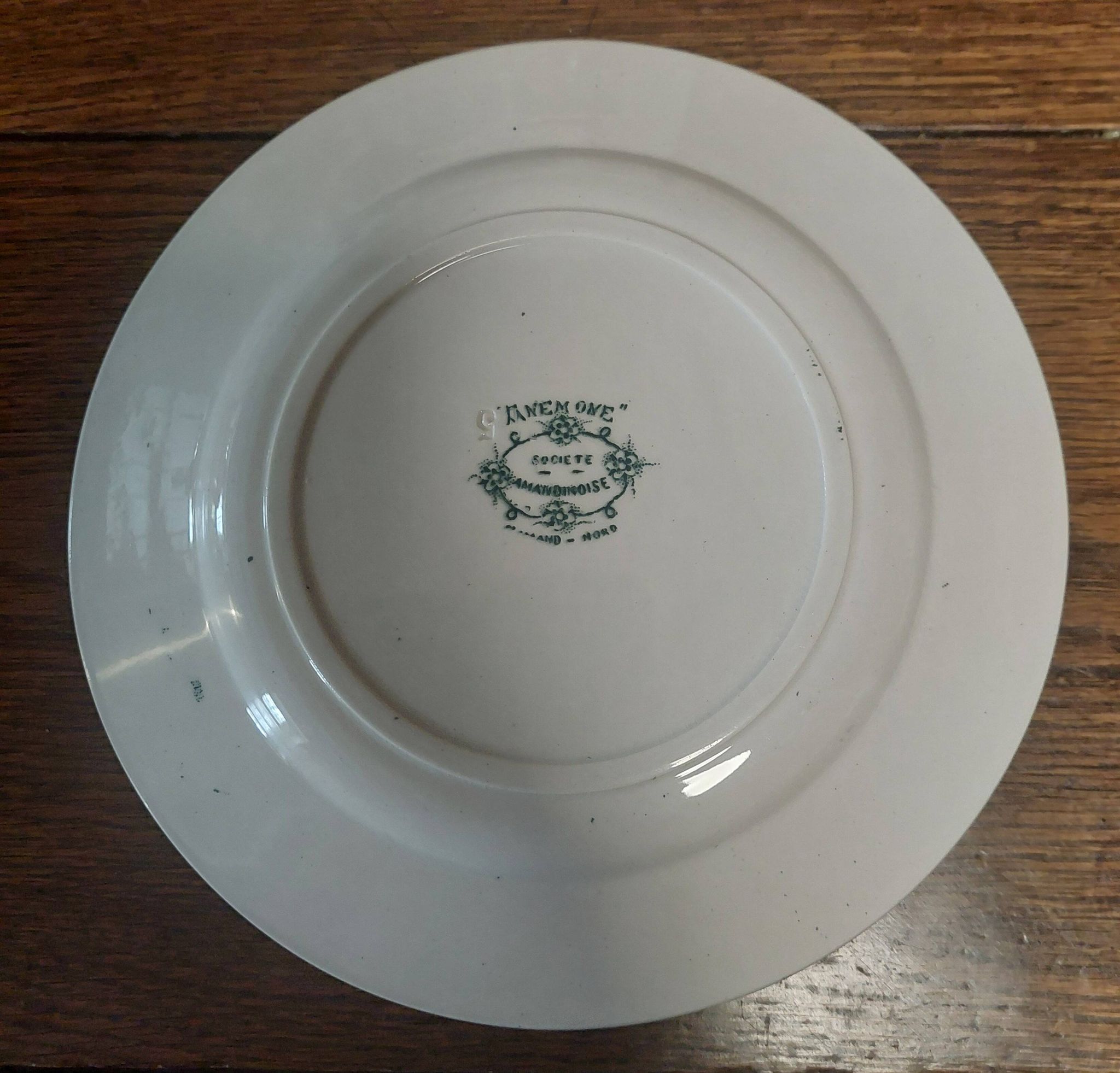 Assiette en faïence terre de fer Saint Amand décor anémone