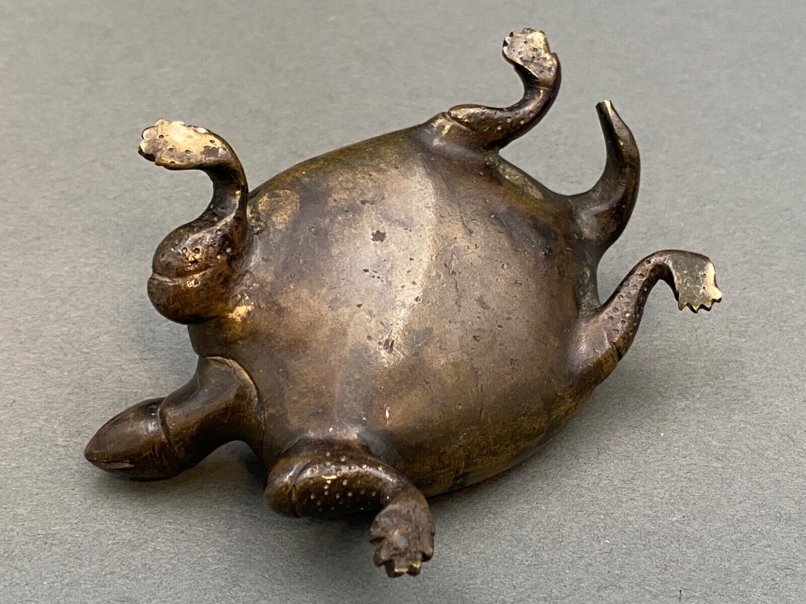 Bronze turtle XIXth Chocolate patina Fine carving