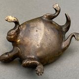 Bronze turtle XIXth Chocolate patina Fine carving