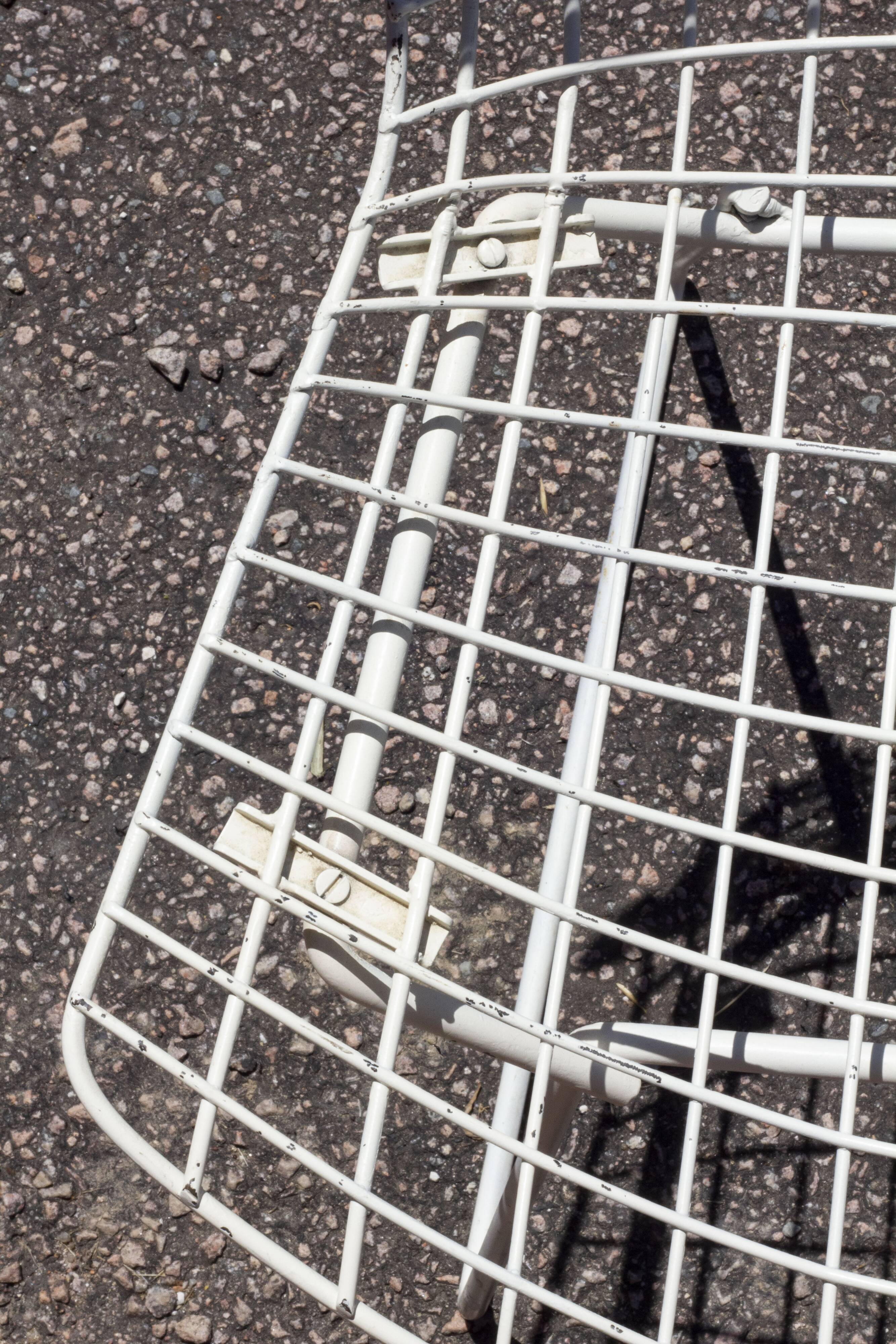 White Wire chair by Harry Bertoia for Knoll