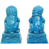 Large Temple Lion Statues Foo Dogs Blue Porcelain 25cm