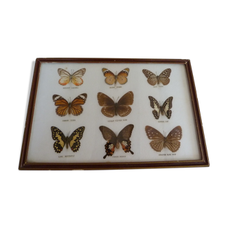 Butterfly frame
