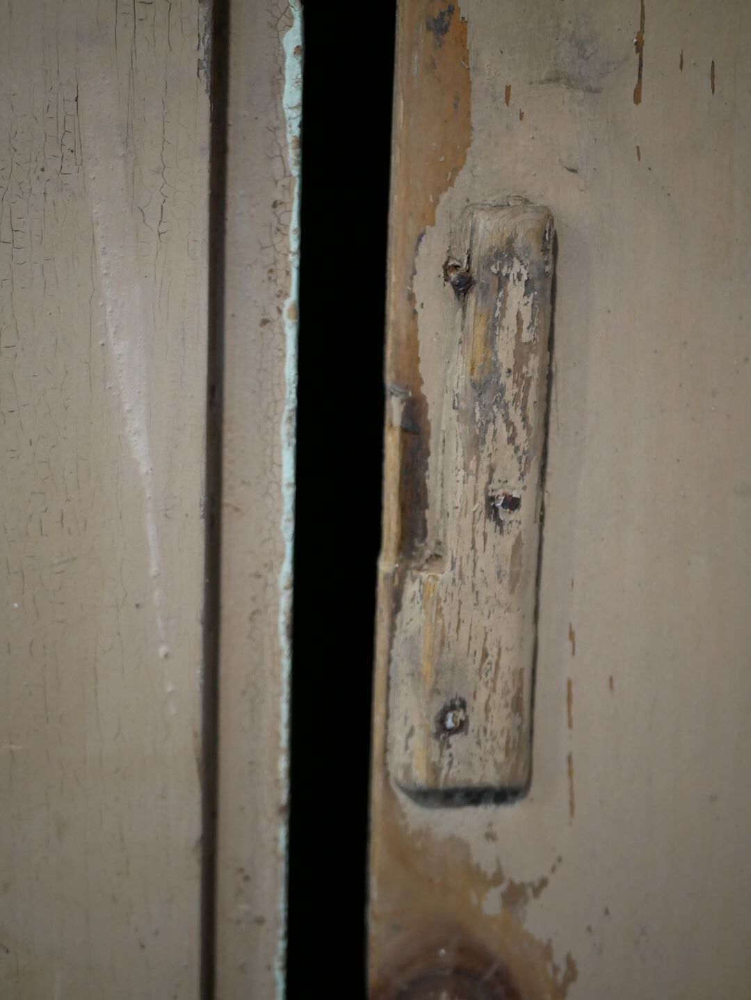 Antique painted wooden doors