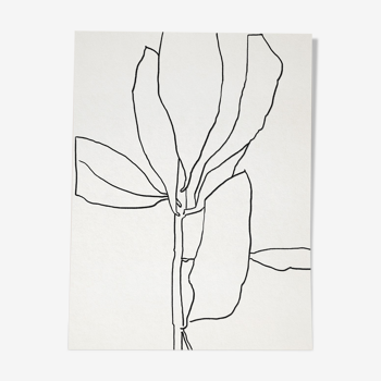 Botanical illustration black lines 50x70cm