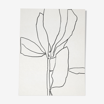 Illustration botanique lignes noires 50x70cm