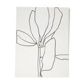 Illustration botanique lignes noires 50x70cm