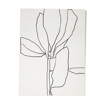 Botanical illustration black lines 50x70cm