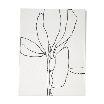 Illustration botanique lignes noires 50x70cm