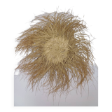 Wall-mounted straw hat
