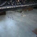 Mirror late 18th century