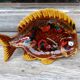 Vintage 1950 empty pocket dish in Vallauris ceramic Fish shape