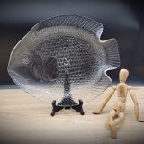 Large fish dish 40x33 transparent