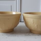 Duo of yellow bowls