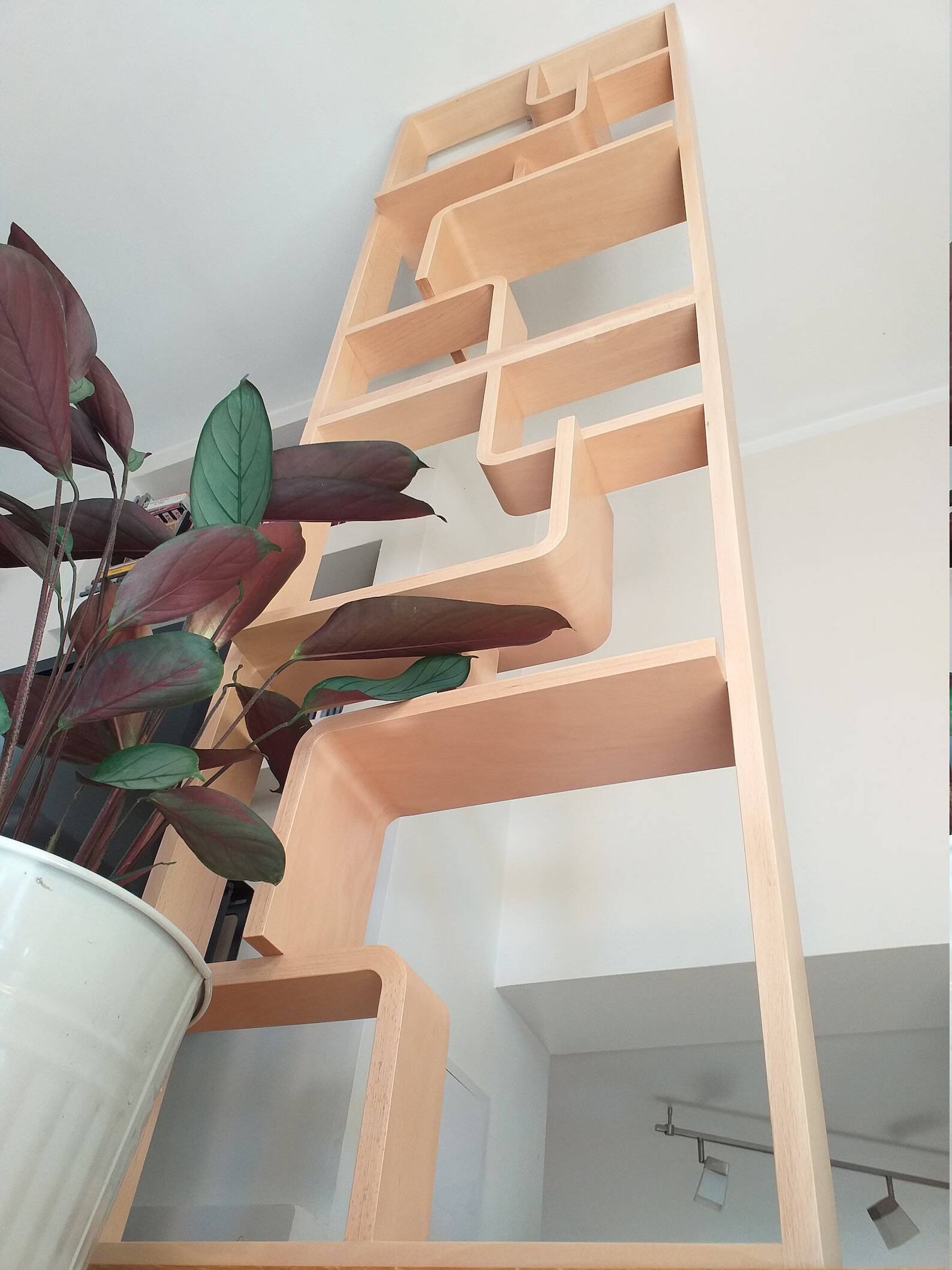 Two screens, partition walls, Volak shelves in bent wood