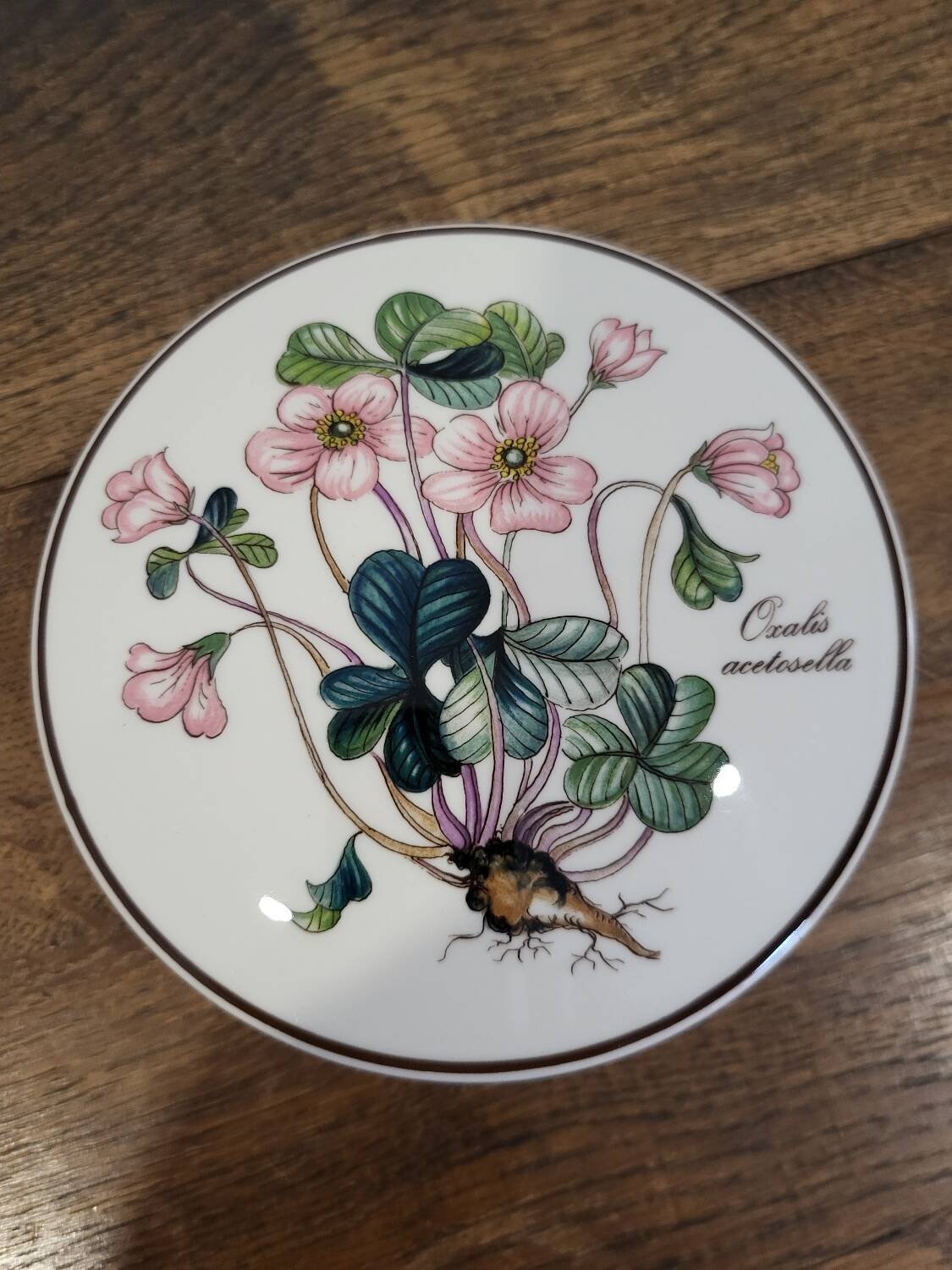 Botanica Villeroy and Boch Box