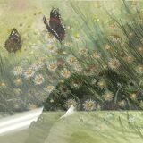Watercolor ann dunbar "red admiral" 30x40 cm