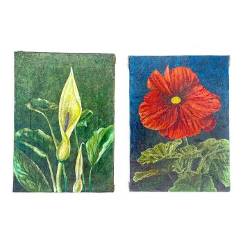 2 peintures botaniques
