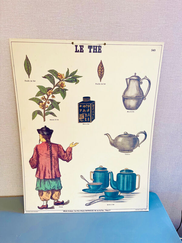 Affiche scolaire vintage thé – Émile Deyrolle Paris années 70