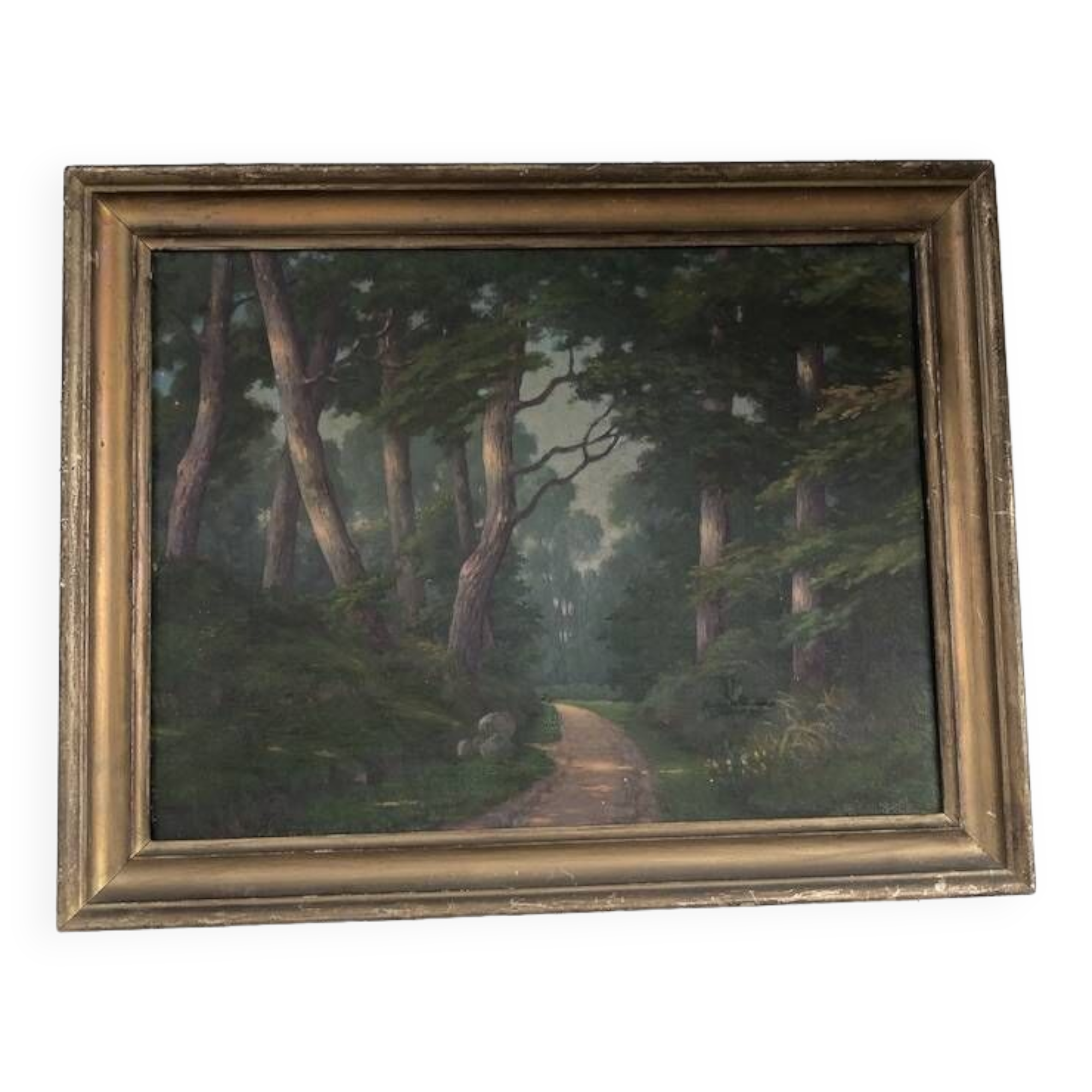 Oil canvas A.colomb 65 x 52 cm