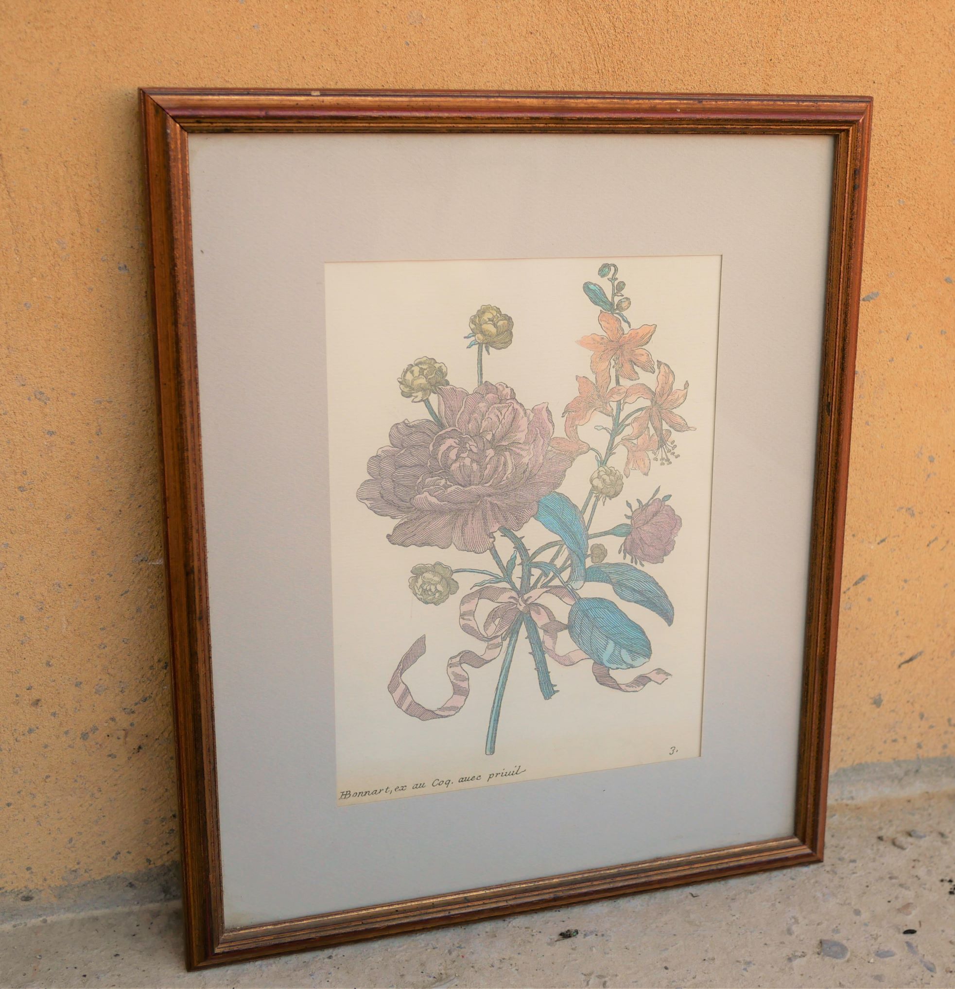 Vintage botanical poster
