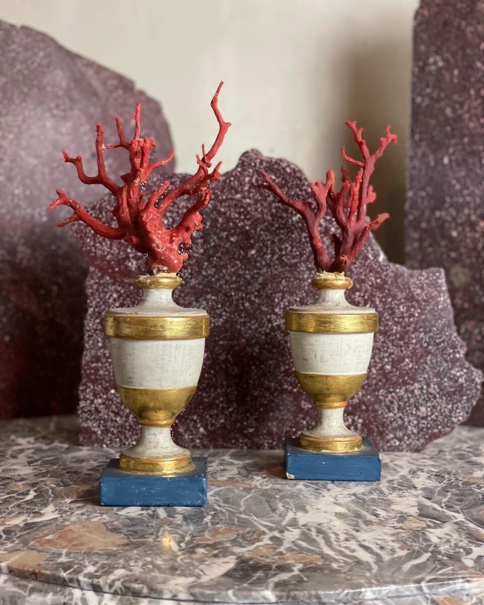 Pair of red corals on gilded and blue wooden bases