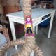 Lampadaire en corde