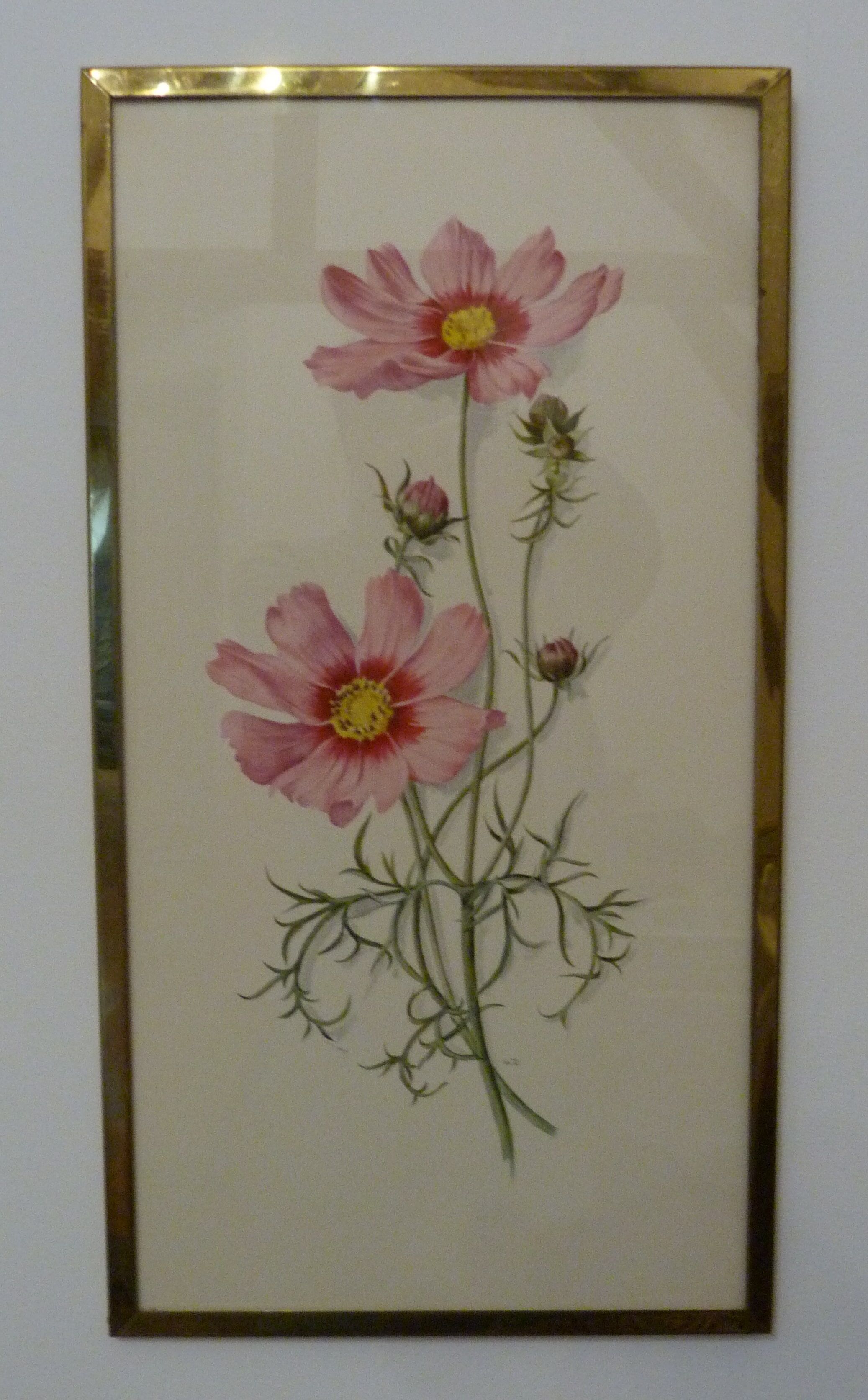 Pair of floral lithographs