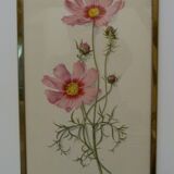 Pair of floral lithographs