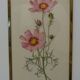 Paire de lithographies florales
