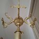 Golden parrot coat rack