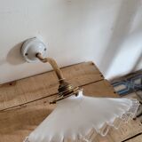 Gooseneck and opaline wall lamp