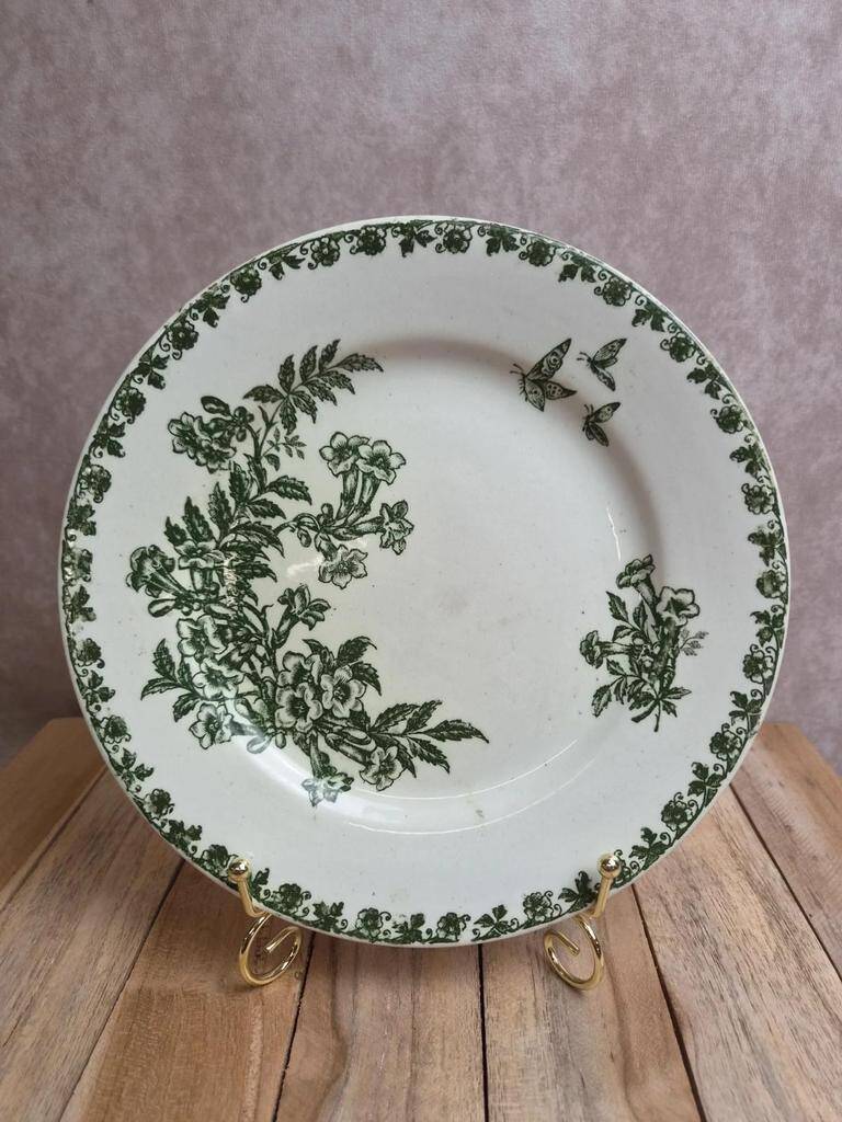 Flat plate ironstone Saint-Amand – Model Denise – Green decoration