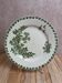 Flat plate ironstone Saint-Amand – Model Denise – Green decoration