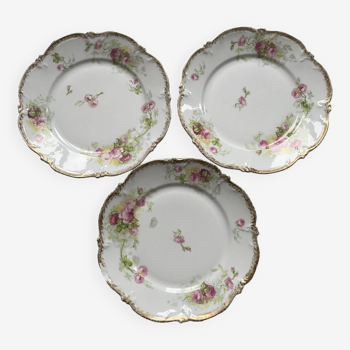 Romantic Limoge porcelain plates