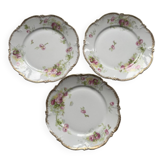 Romantic Limoge porcelain plates