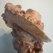 Bust signed D. Van Den Bossche in terracotta