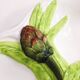 Dish dabbling artichokes