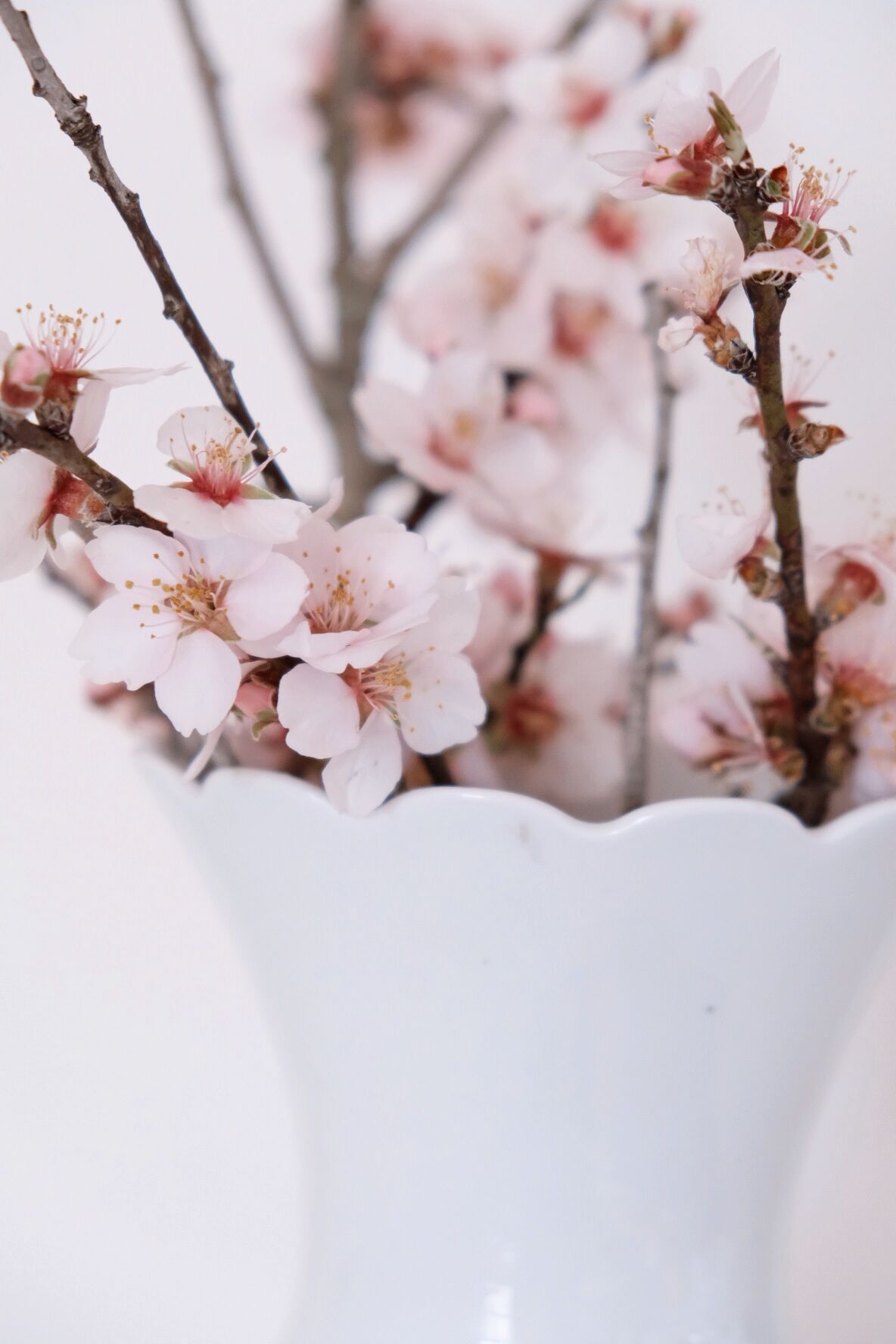 White vase Bareuther Waldsassen 50s