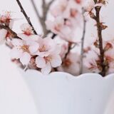 White vase Bareuther Waldsassen 50s