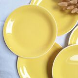 Villeroy & Boch yellow dinner plates