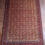 Handmade Shirvan Caucasian Rug 283x200ccm